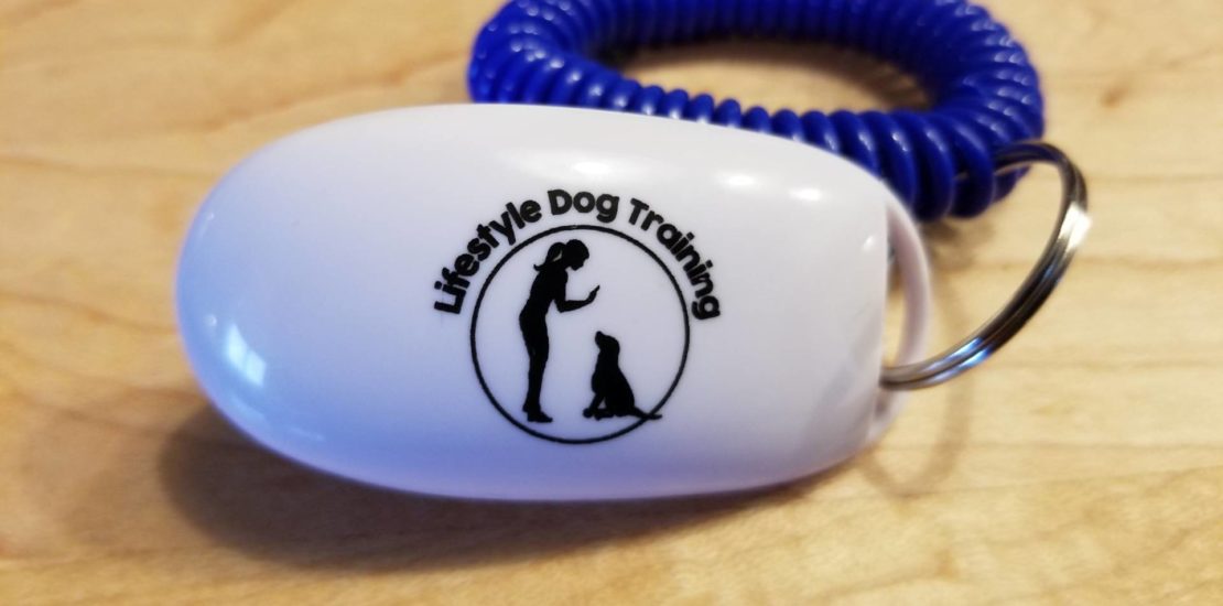 A white dog clicker used to mark desired behaviors.