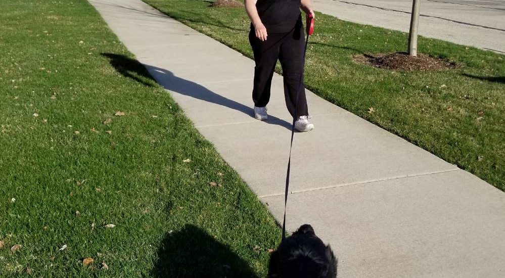 Julie out for a fun walk using a flexi leash.