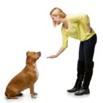 Girl giving the hand command for down to a brown dog.