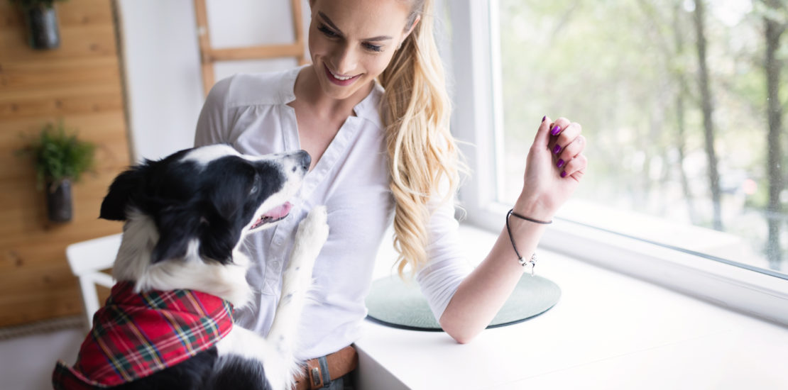 Beautiful woman happy while spending time with best friend, a dog.