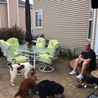 All dogs are enjoying a meal at Boot Camp.