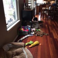 The main toy area at Boot Camp.