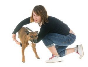 Staffordshire Bull Terrier jumping through a woman's arms.