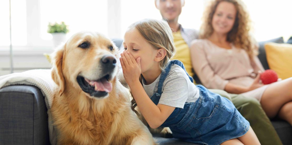 Little girl whispering something to her pet while relaxing on sofa on background of young couple