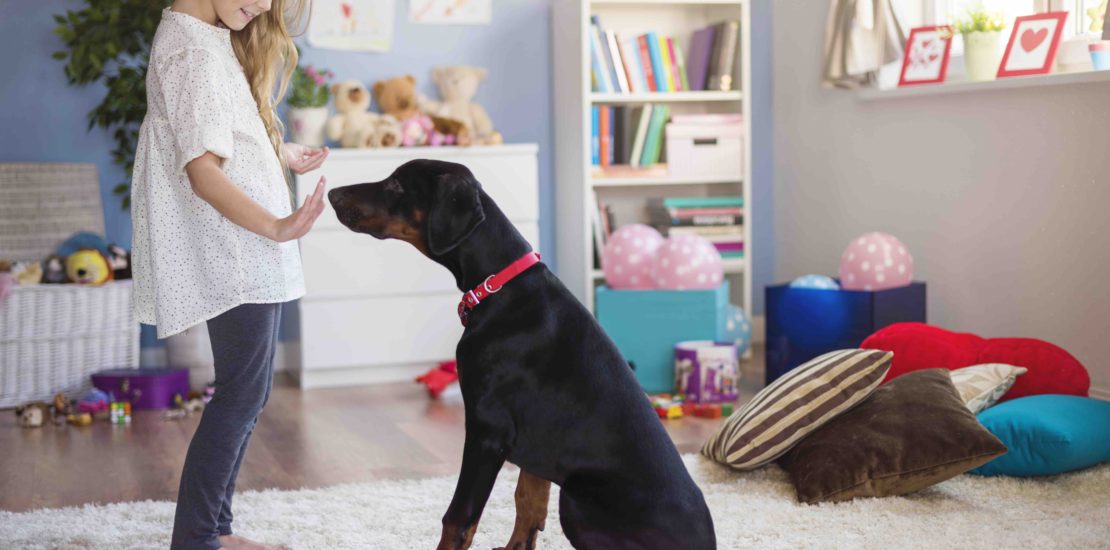 Young girl is giving her dog a command to sit. They are in her bedroom which is decorated with toys and floor pillows.