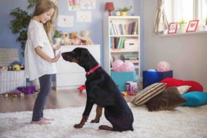 Young girl is giving her dog a command to sit. They are in her bedroom which is decorated with toys and floor pillows.