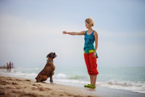 Woman on a beach is training her boxer to do a trick.