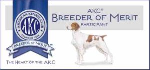 American Kennel Club (AKC) Breeder of Merit banner for the Brittany