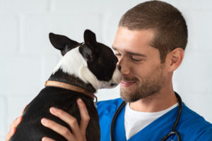 Smiling veterinarian with stethoscope loving little dog in hospital after checkup. Cute puppy lick the vet's nose.