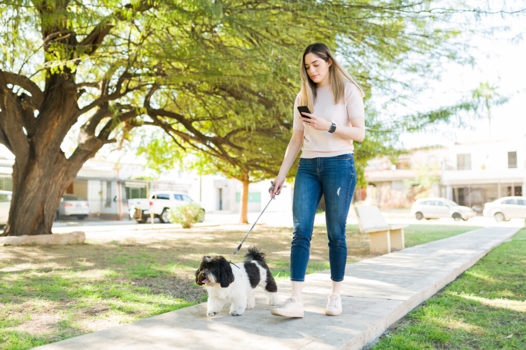 Put The Phone Down- Your Dog Has Been Waiting All Day For You